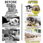 Pet Food Ball
