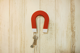 Jumbo Key Magnet